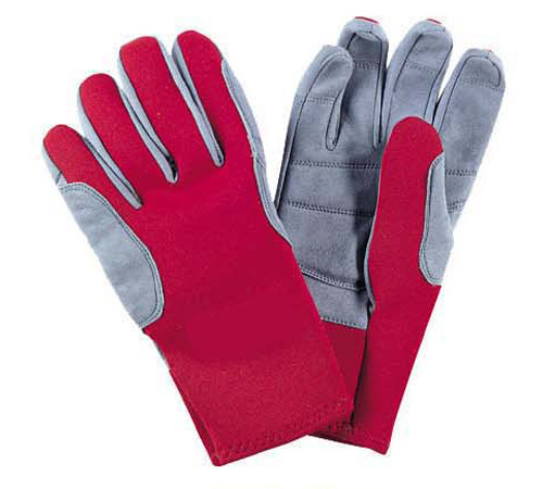 Winter Gloves